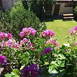 Via Monte Braulio 19 Apartamento *